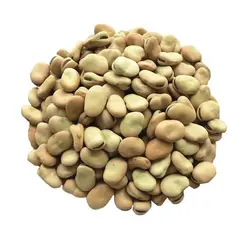 باقلا درشت - 250 گرمی