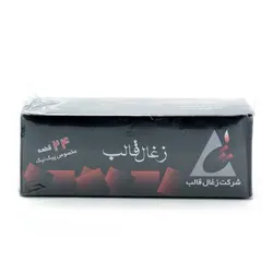 زغال 24 قطعه قالب مخصوص پیک نیک