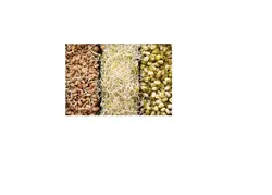 جوانه میکس خانگی 130گرمی (کپی)