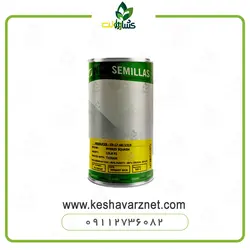 فروش بذر کدو تک گل زودرس لولا اسپانیا