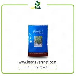 بذر لوبیا سبز گلخانه ای بیکر هلند