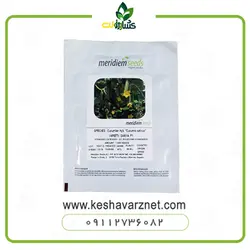 بذر خیار گلخانه ای سامیا