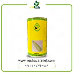 بذر کدو نیکرسون ازرا