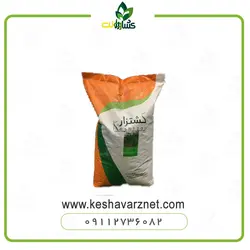 بذر لوبیا سبز کشتزار ده کیلویی