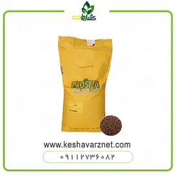 بذر لوبیا سبز پروسید هلند