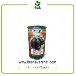 بذر بادمجان دلمه دهقان بذر