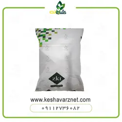 بذر نخود فرنگی مجار ZK