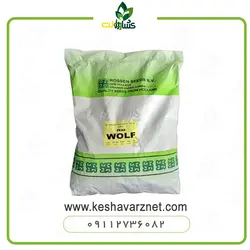 بذر نخود فرنگی ولف روزن سید هلند