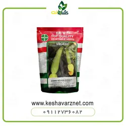 بذر کدو سبز النا زودرس آمریکایی