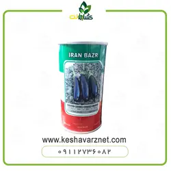بذر بادمجان قلمی سوگند
