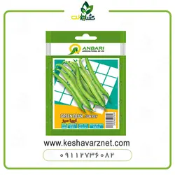 بذر خانگی لوبیا سبز