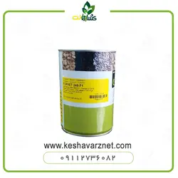 بذر کدو انزا فوروت 249