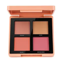پالت رژگونه تاپ فیس شماره 001 Topface Maestro Academy Blush Bouquet