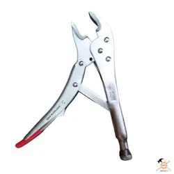 انبرقفلی وود   تایوان