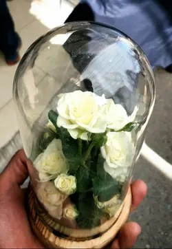 تراریوم گل آراسته شماره 86