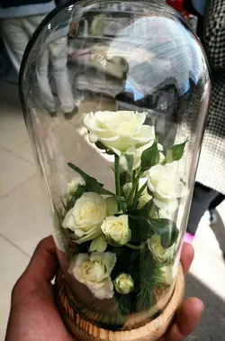 تراریوم گل آراسته شماره 86