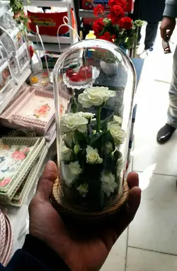 تراریوم گل آراسته شماره 86