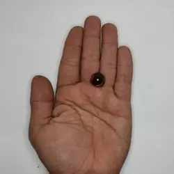 چشم عروسک شیشه ای ۳ (۱۷میلیمتر) (۲۰عددی)