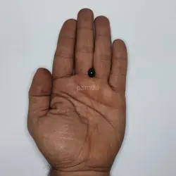 چشم عروسک پیچی بیضی 12 میلیمتر (۵۰۰ عددی)