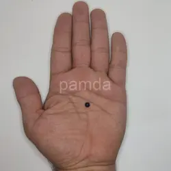 چشم عروسک گرد ۱ (۶ میلیمتر) (۲۰۰۰ عددی)