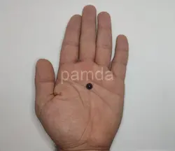 چشم عروسک گرد ۲ (۸ میلیمتر)  (۲۰۰۰ عددی)