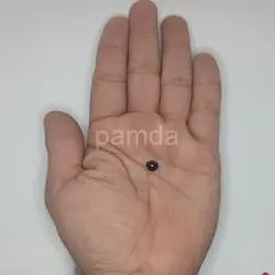 پوزه عروسک ۱ (۹میلیمتر) (۲۰۰۰ عددی)