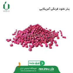 بذر نخود فرنگی واریته آمباداتور آمریکا