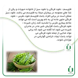 بذر نخود فرنگی واریته آمباداتور آمریکا