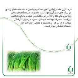 بذر تره فارسی ( کاملا بوجاری شده )