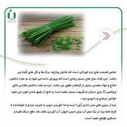 بذر تره فارسی ( کاملا بوجاری شده )