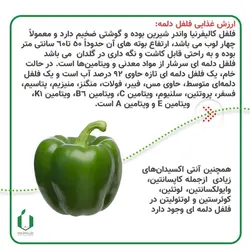 بذر فلفل دلمه کالیفرنیا ( قوطی 100 گرمی )