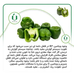 بذر فلفل دلمه کالیفرنیا ( قوطی 100 گرمی )