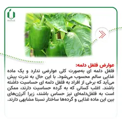 بذر فلفل دلمه کالیفرنیا ( قوطی 100 گرمی )