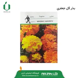 بذر گل جعفری بسته بندی خانگی ( برند آوند )