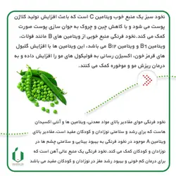 بذر نخود فرنگی بسته بندی خانگی ( حجم 10 گرمی )