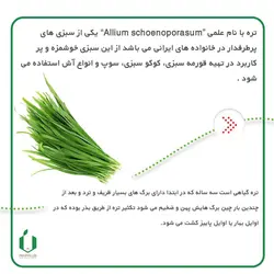 بذر تره شاهدگان بسته بندی خانگی( حجم 10 گرمی )