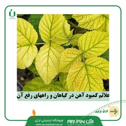 کود آهن فری شل 6% پودری | ارژن گرین، ابزارآلات باغبانی