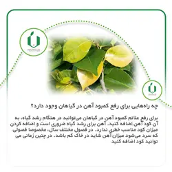 کود آهن فری شل 6% پودری | ارژن گرین، ابزارآلات باغبانی