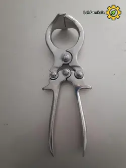 پنس اخته گوسفند