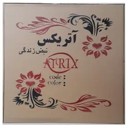 آینه پلکسی گلس آتریکس مدل آشپزخانه کد MD54