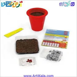 باغبان کوچولو (لوبیا) | آرتی کالا