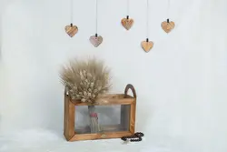 باکس نظم دهنده - مامبو وود باکس نظم دهنده