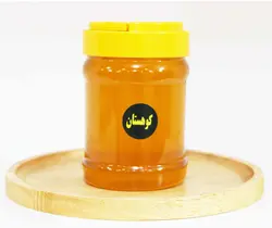 عسل کوهستان نیم کیلویی