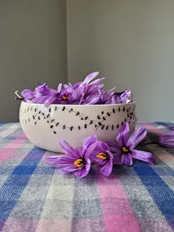 ظرف پذیرایی