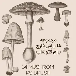 مجموعه 14 براش قارچ برای فتوشاپ