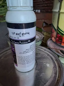 بتا فسفو امینو کارا