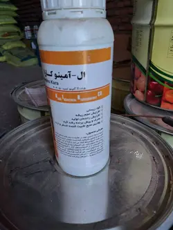 ال امینو کارا