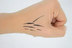 خط چشم آلوئه ورا کیس بیوتی