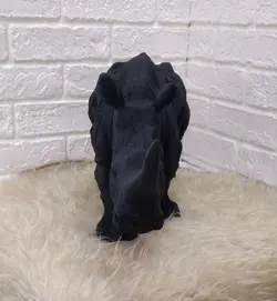 مجسمه کرگردن هندی