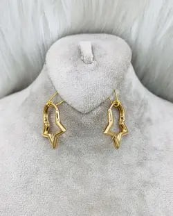 گوشواره حلقه ای6